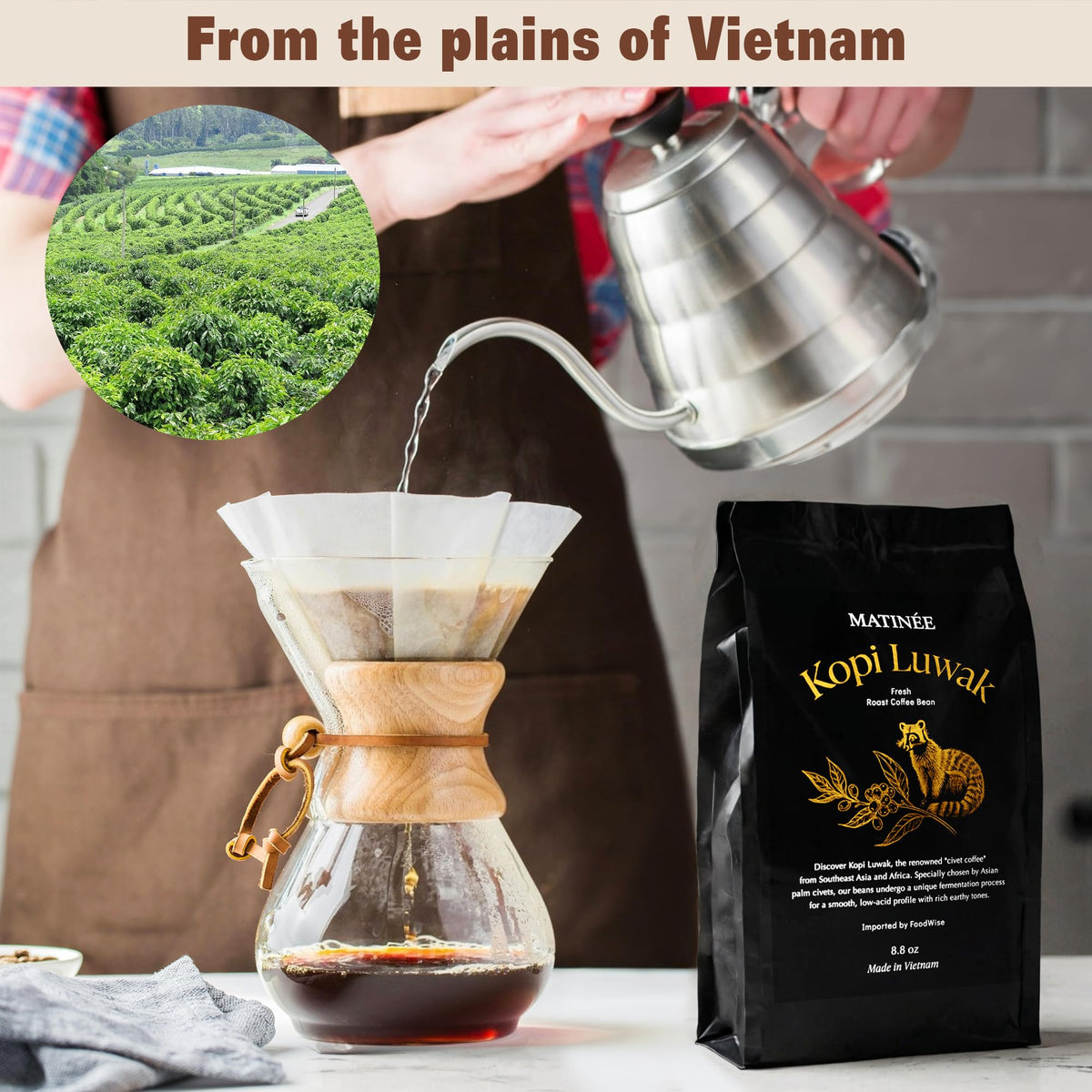 Matinée Wild Kopi Luwak medium roast packaging highlights sustainable sourcing.