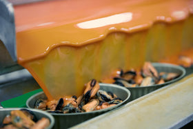 Matiz Mussels spice marinade showcasing artisan Galicia flavor