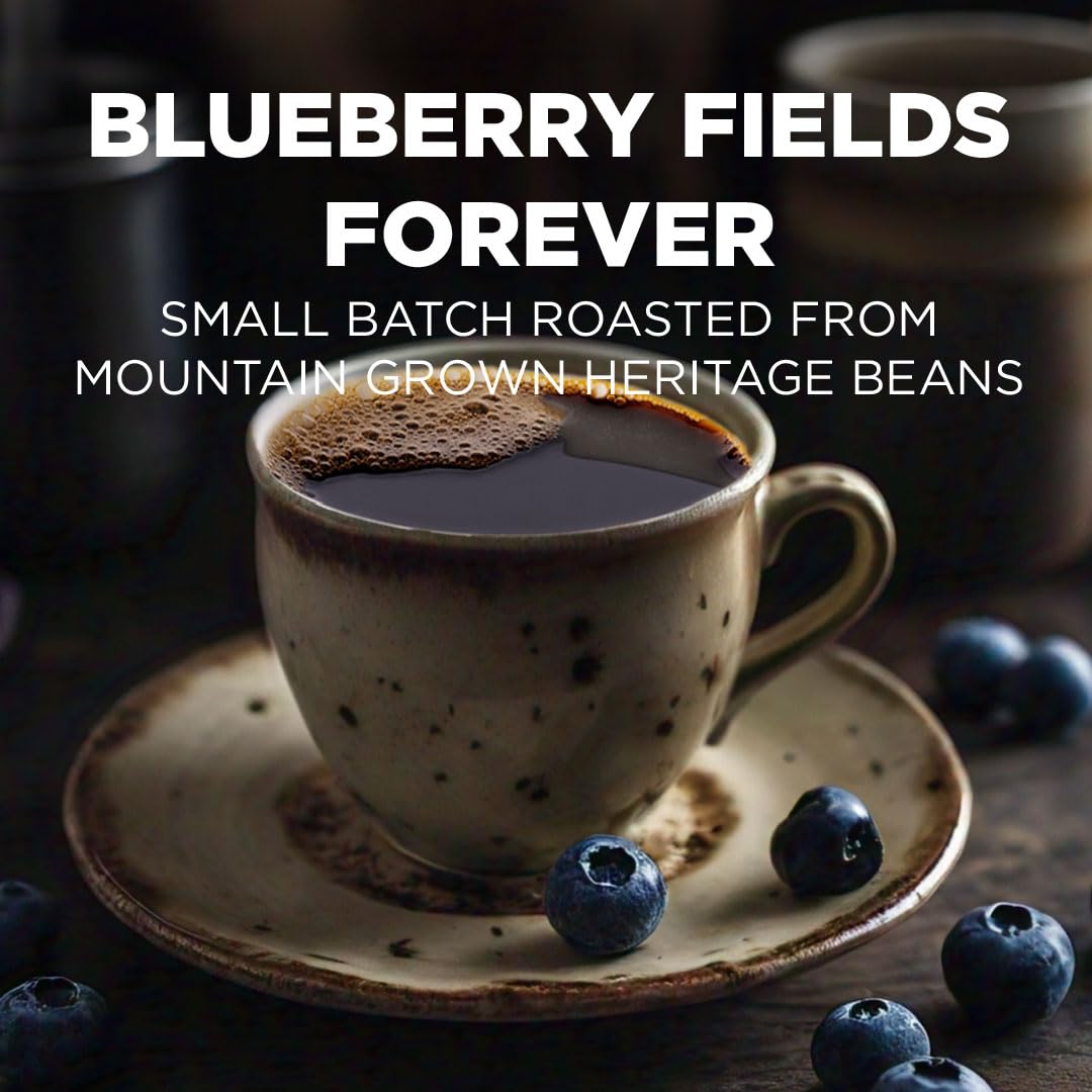 Maud's Blueberry Fields Forever ground coffee, versatile for any brewer.