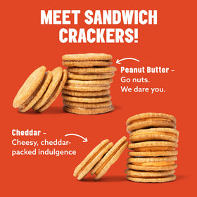 MAVERICKS cheddar sandwich crackers ideal for kid-friendly snack time.
