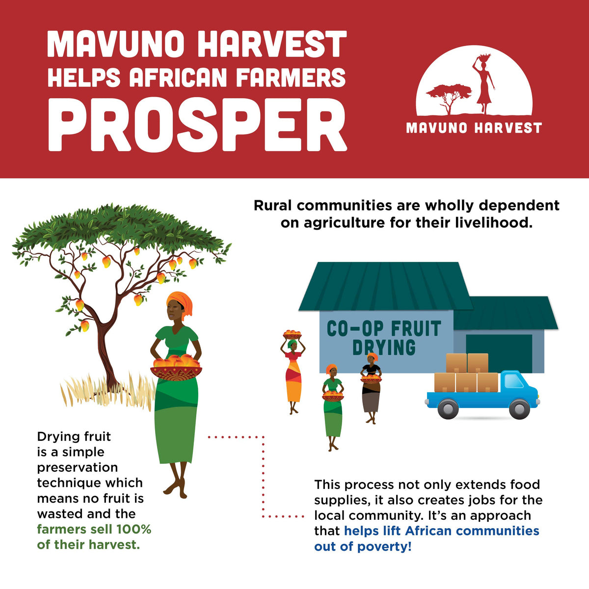 Mavuno Harvest Ghana direct-trade farmers scene, ethical sourcing