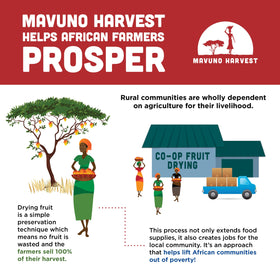 Mavuno Harvest Ghana direct-trade farmers scene, ethical sourcing