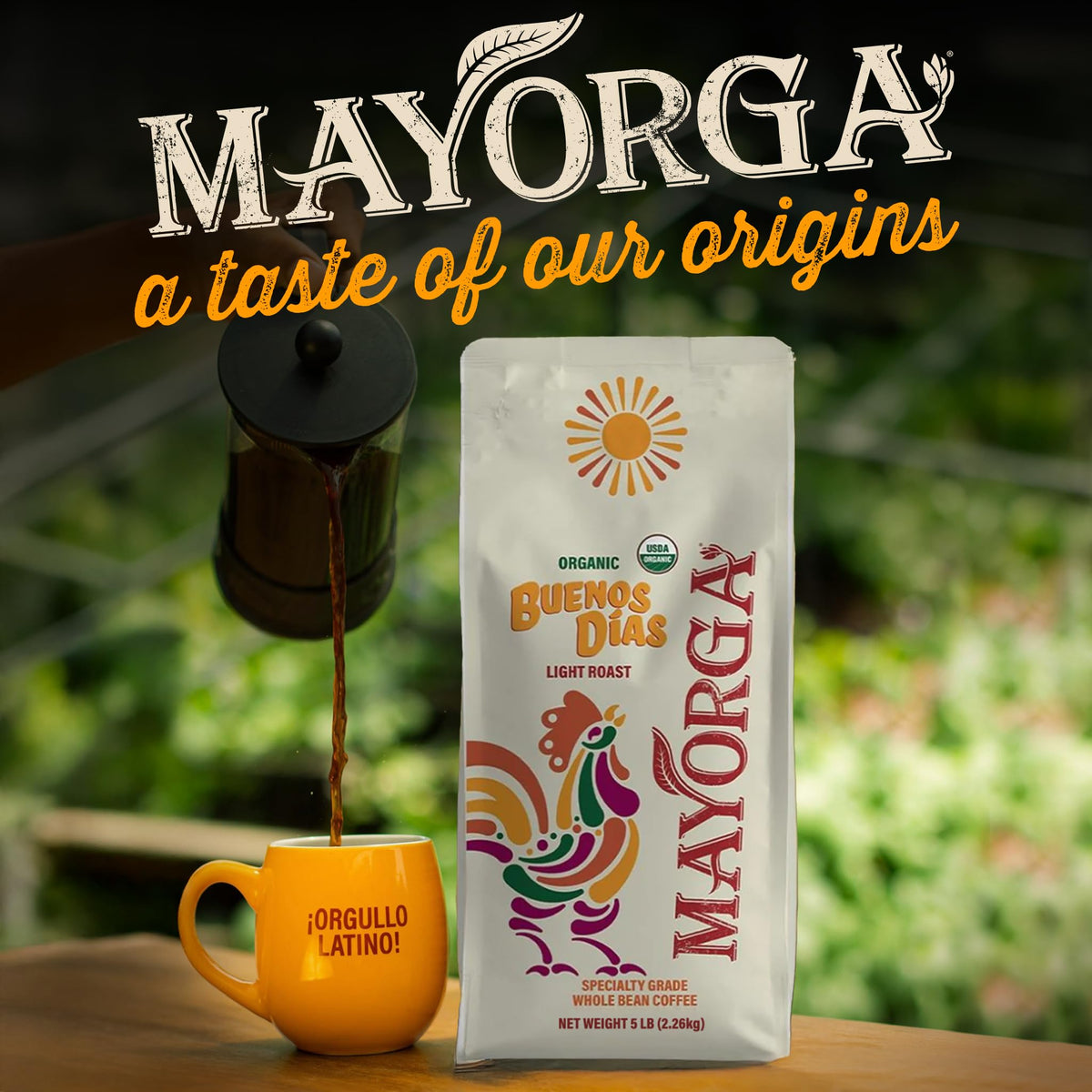 Brewing Mayorga Buenos Días cup showing citrusy sweetness and smooth finish