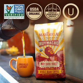 Mayorga direct trade with farm partners ensures traceable origins