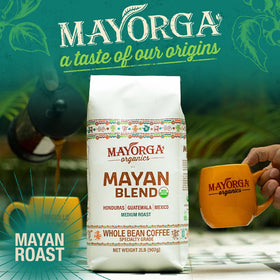 Close-up of Mayorga Mayan Blend beans showing chocolate and floral notes.