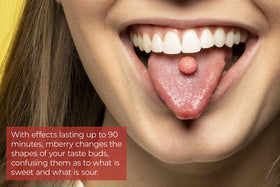 mberry miracle berry snack pouch open ready for flavor experiments at a tasting party