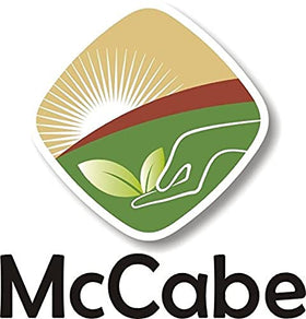 McCabe Organic Barley Tea finished glass shows a crisp, refreshing beverage.