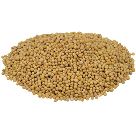 Homemade mustard dips prepared with McCormick Culinary yellow mustard seed.