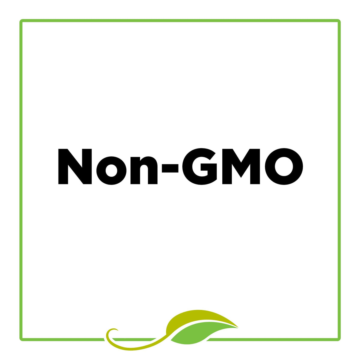 McCormick Gourmet Organic Nutmeg elevates pumpkin pie flavor with spice.