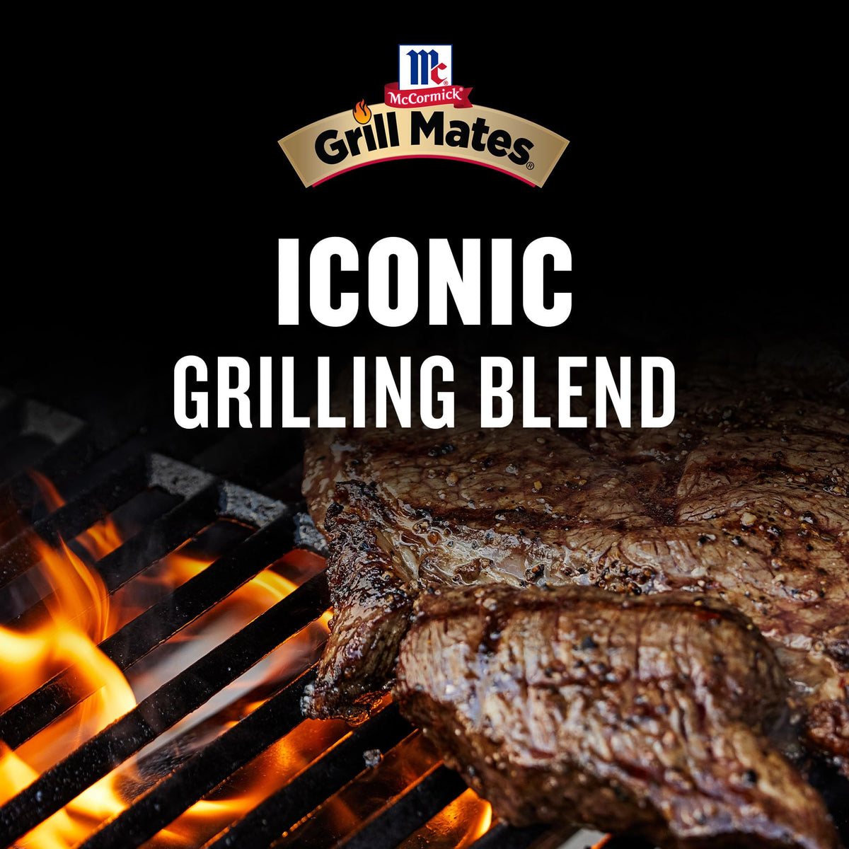 McCormick Grill Mates Brown Sugar Bourbon 30 Minute Marinade – 6 Pack