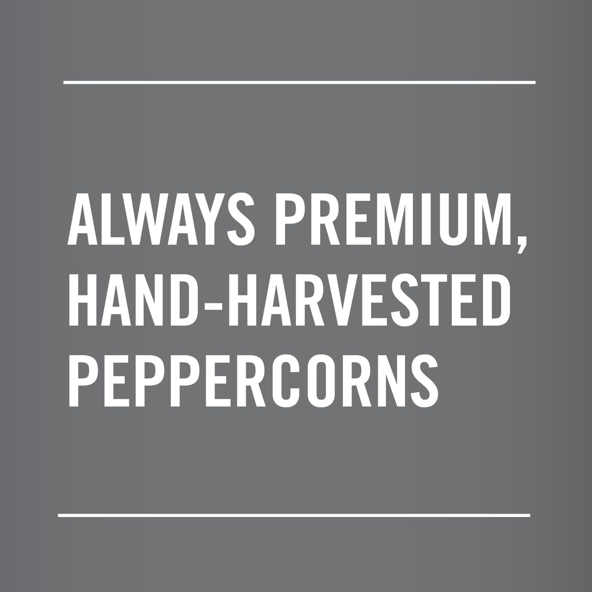 McCormick Whole Black Pepper stored in a pantry