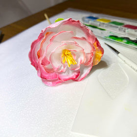 MeganJDesigns cake topper decorations on wafer sheets for custom desserts.
