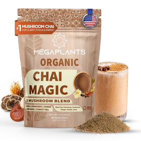 Megaplants Chai Magic bag displays rich masala chai blend for daily focus