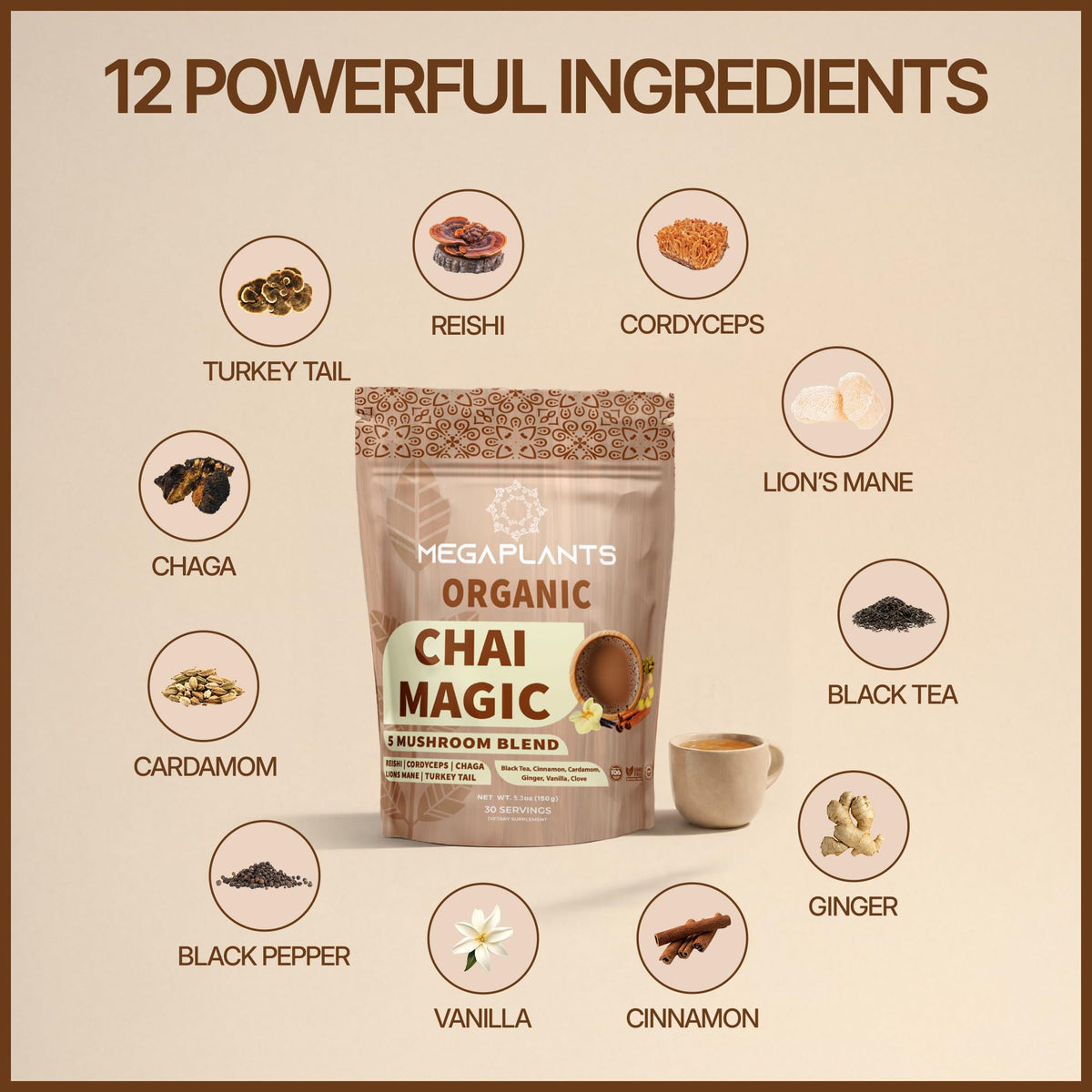 Megaplants Chai Magic scoop on the pouch highlights mushroom blend for steady energy