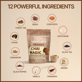 Megaplants Chai Magic scoop on the pouch highlights mushroom blend for steady energy
