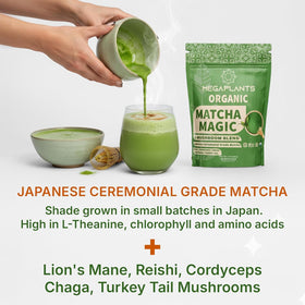 MEGAPLANTS Matcha Magic packaging image signals eco-friendly, clean-label notes for health-conscious shoppers.