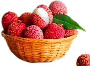 Mekoman lychee coconut popsicles offer tropical flavor in frozen treats