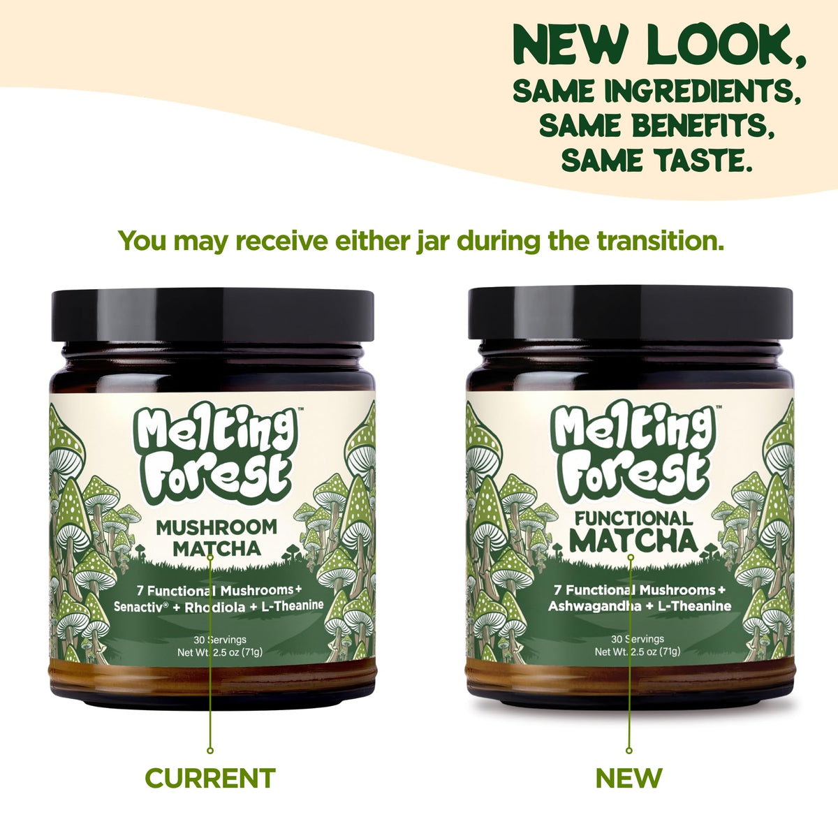 Box of 30 servings for Melting Forest Mushroom Matcha