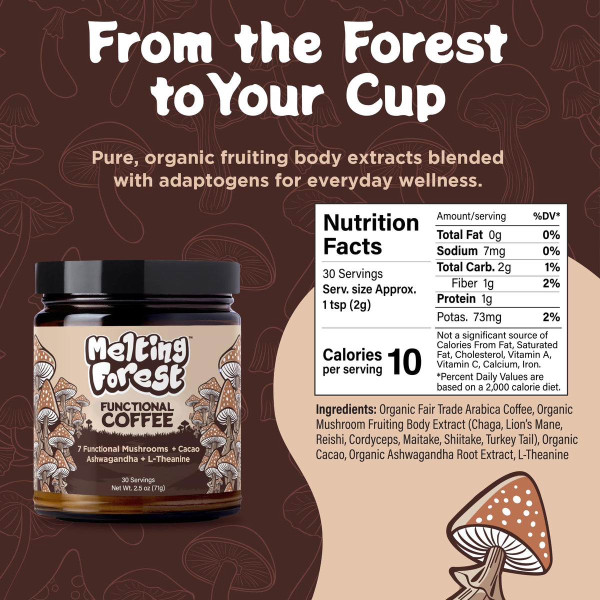 Reishi and Chaga ingredients in Melting Forest blend with antioxidants
