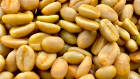 Mesa de los Santos organic certificate label, certified organic quality.