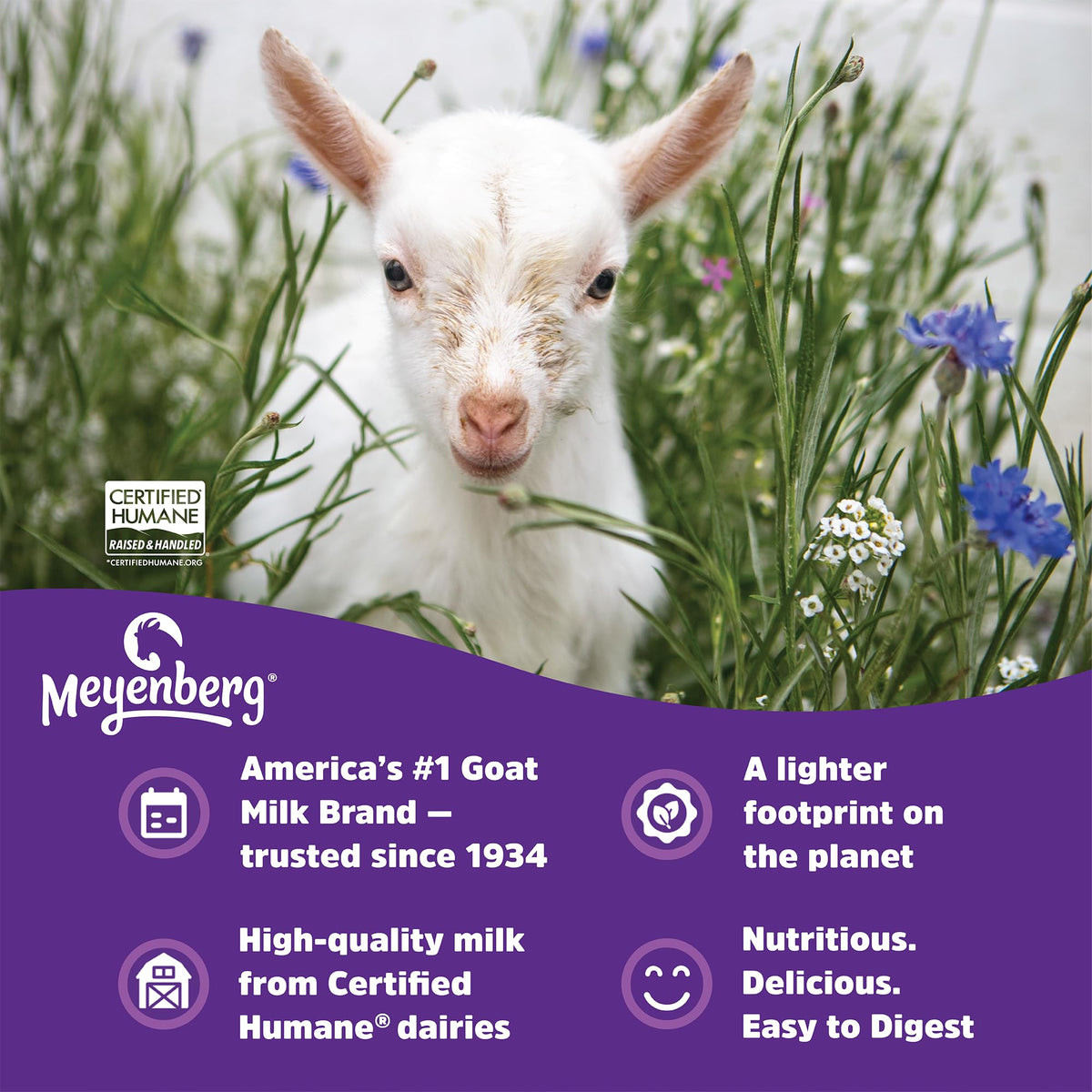 Meyenberg nutrition label highlights protein content and ingredients