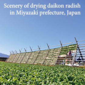 Michimoto Foods authentic Japanese pickles label communicates quality and origin for confident use.