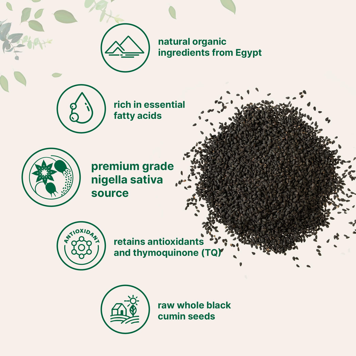 Micro Ingredients black cumin seeds ideal for baking and seasoning in kitchens.