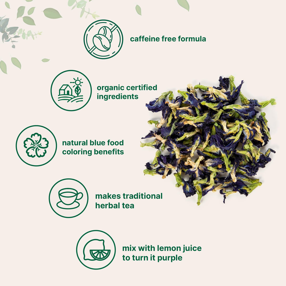 Micro Ingredients blue-to-purple butterfly pea tea color-changing in cup