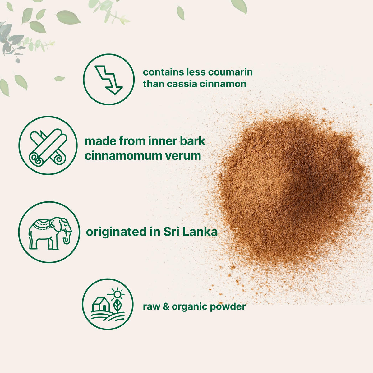 Pouring Micro Ingredients Ceylon Cinnamon Powder from bag into scoop