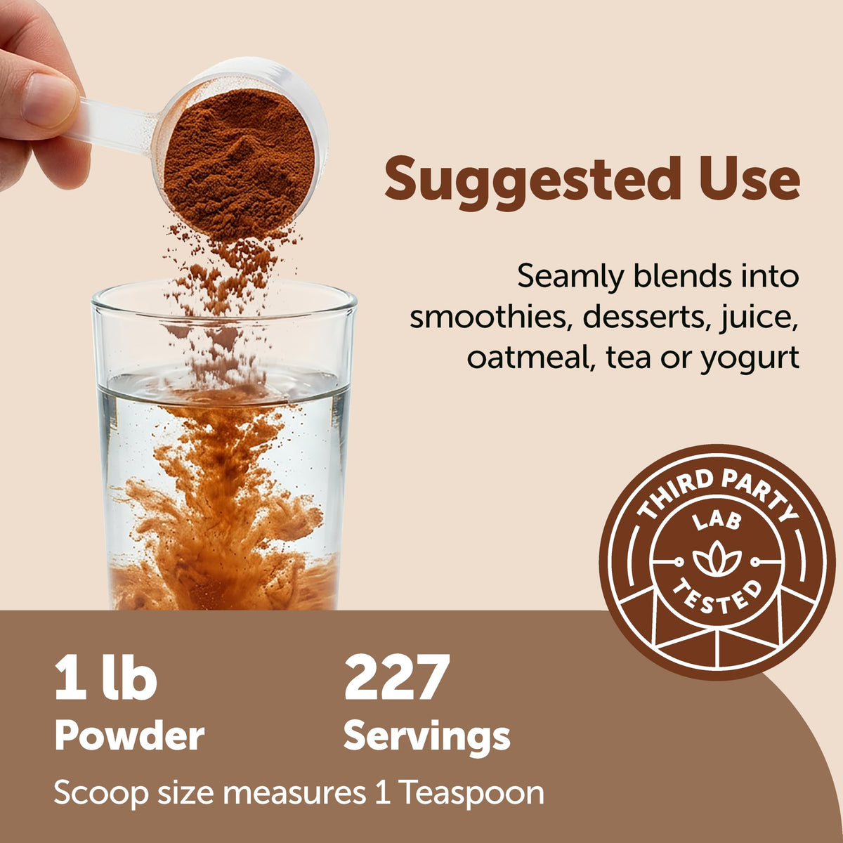 Ceylon cinnamon powder in baking jar from Micro Ingredients
