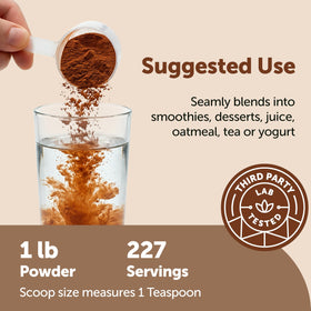 Ceylon cinnamon powder in baking jar from Micro Ingredients
