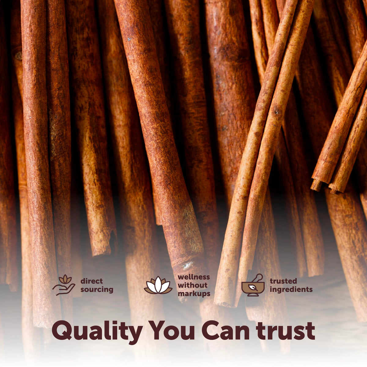 Cinnamon sticks great for curries stews and potpourri