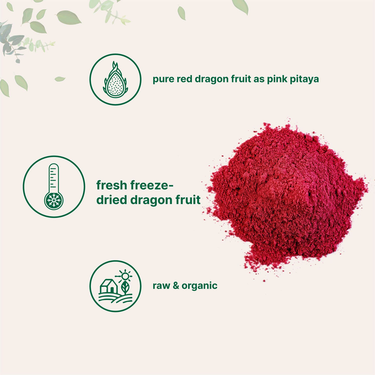 Micro Ingredients Dragon Fruit Powder close-up texture ready to blend