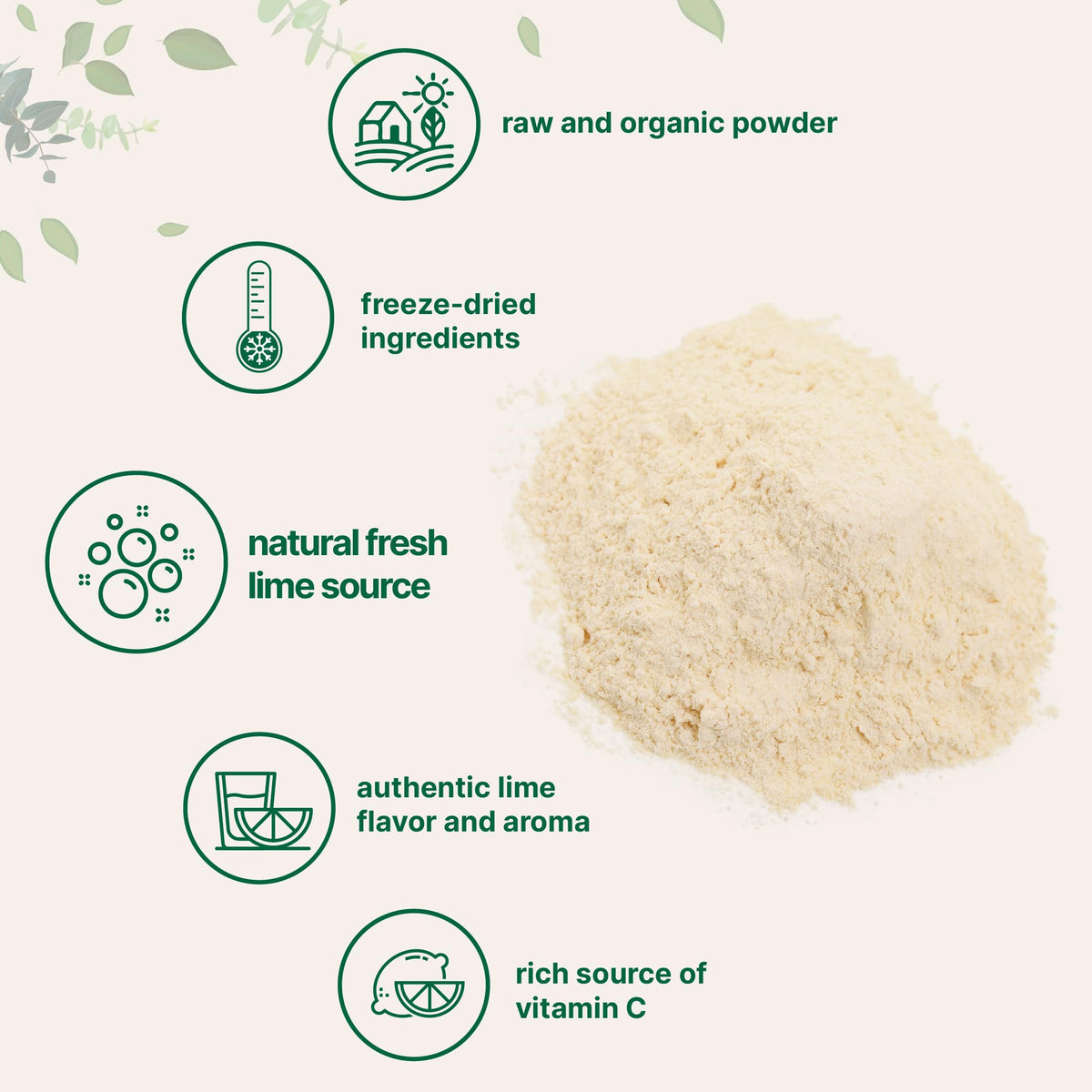 Close-up of Micro Ingredients freeze-dried lime powder texture preserving fresh citrus aroma.