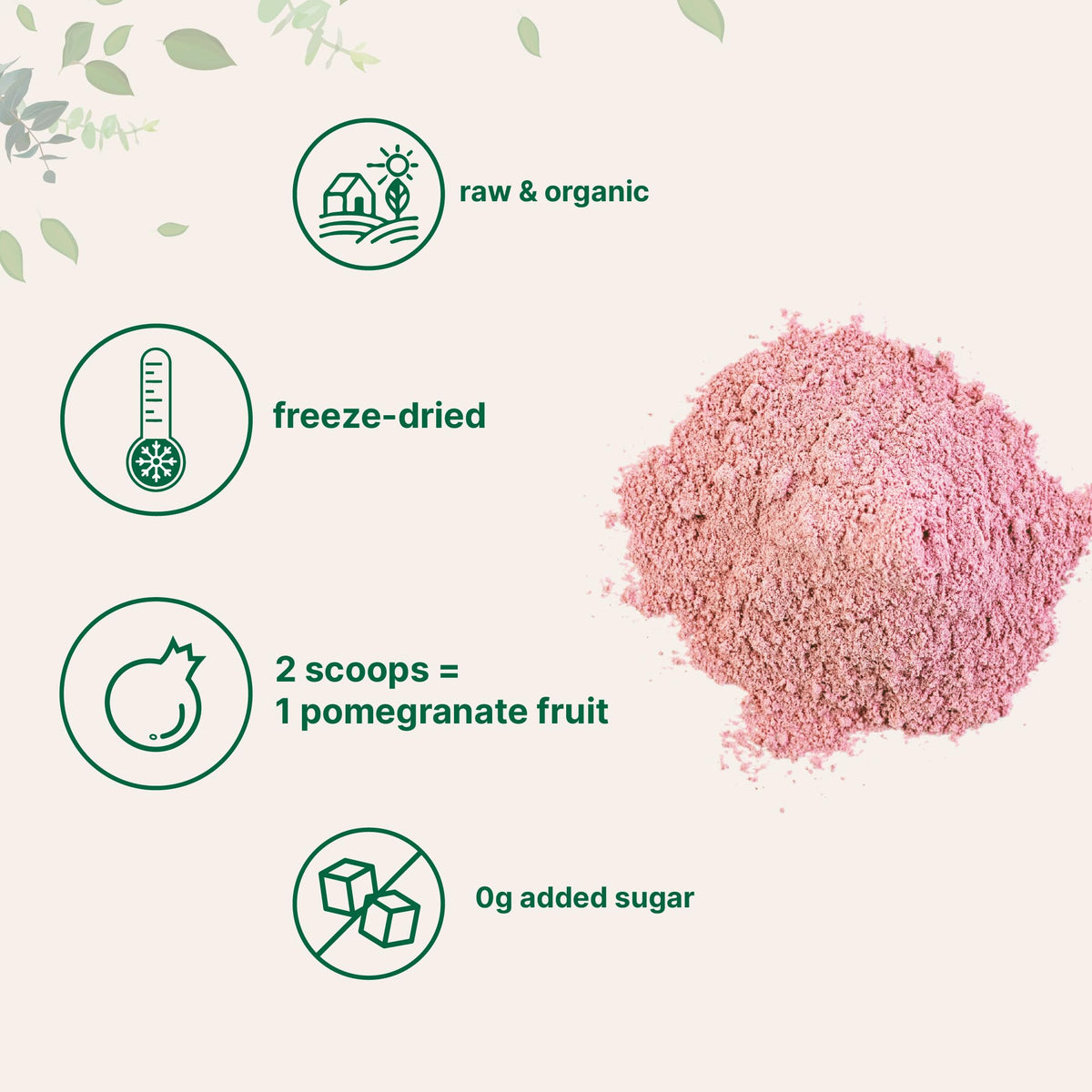 Micro Ingredients freeze-dried pomegranate powder close-up showing vibrant color.