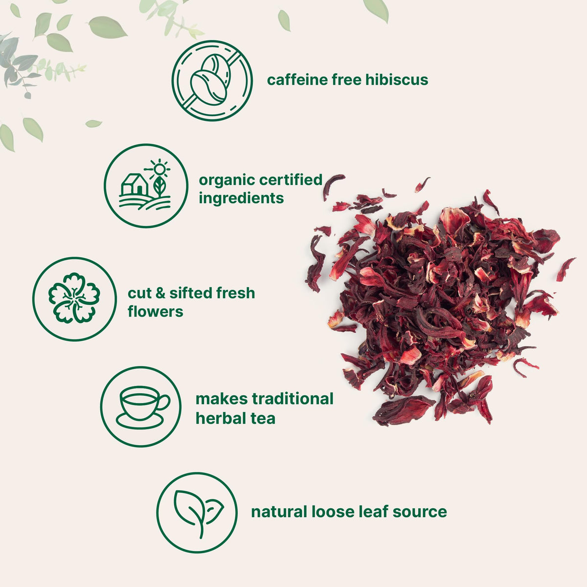 Hot Micro Ingredients hibiscus tea infusion in a cup