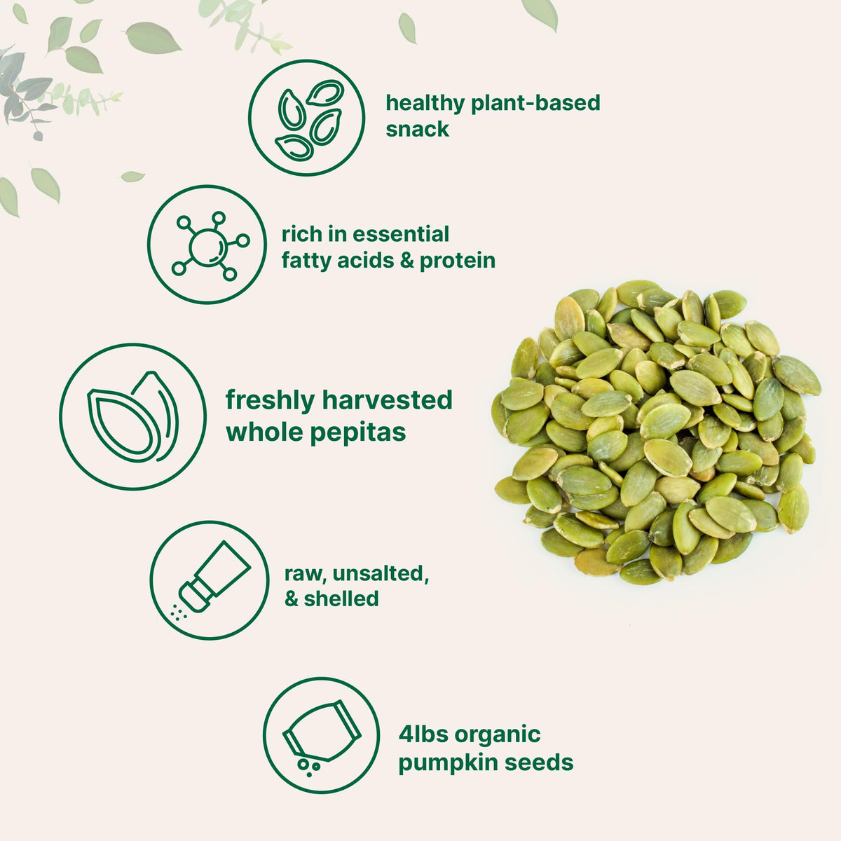 Micro Ingredients Pumpkin Seeds shelled crunchy snack with natural plant protein and minerals.