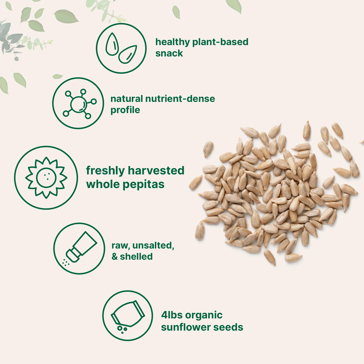 Micro Ingredients raw sunflower seeds perfect for smoothies and meal prep.