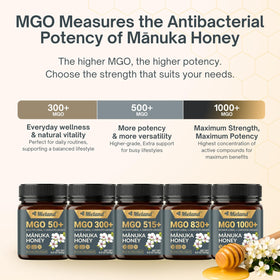 MIELAND Manuka honey lab reports verify MGO and authenticity