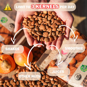 Mighty Apricot kernels pouring into scoop for easy measuring