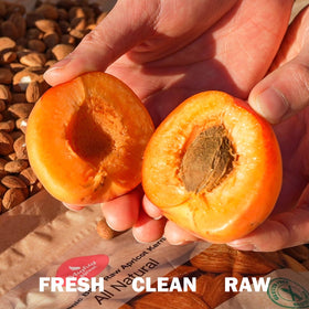 Mighty Apricot origin label from Turkey with GMP facility