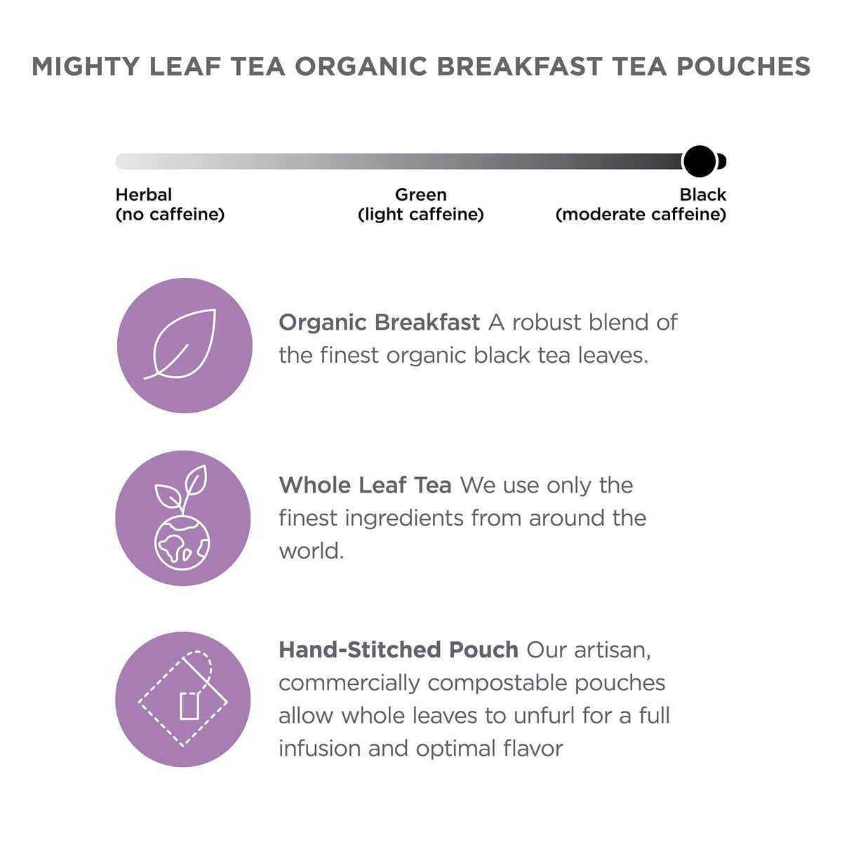Mighty Leaf 100 tea pouches box ensures fresh, consistent daily brewing.