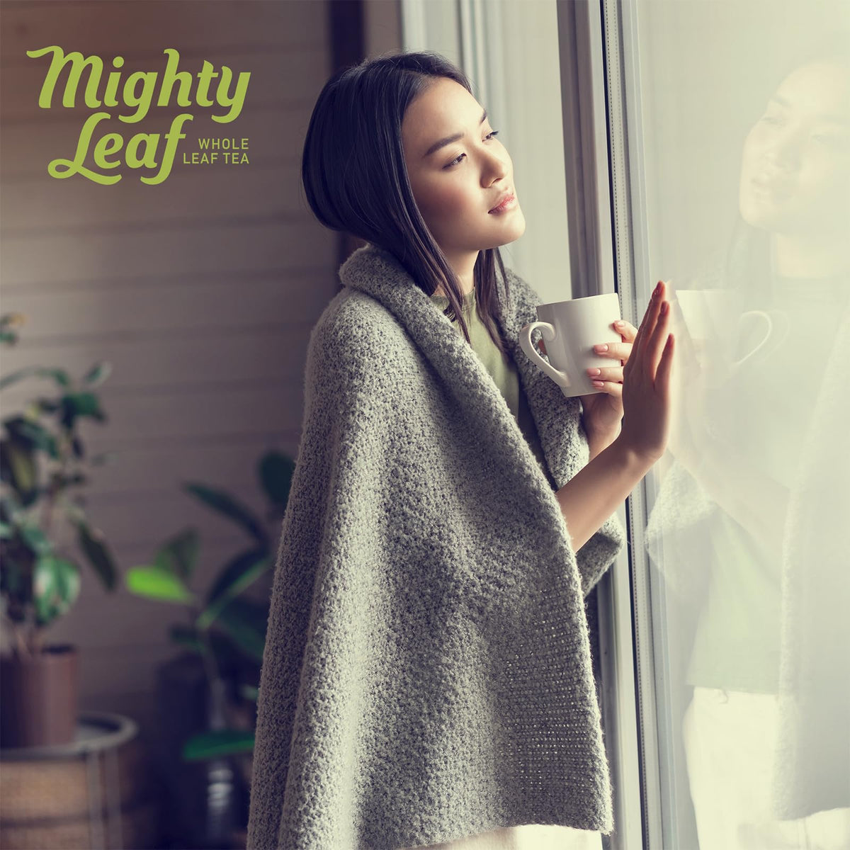 Mighty Leaf Green Tea Tropical 100-count pack supports daily tropical tea ritual.