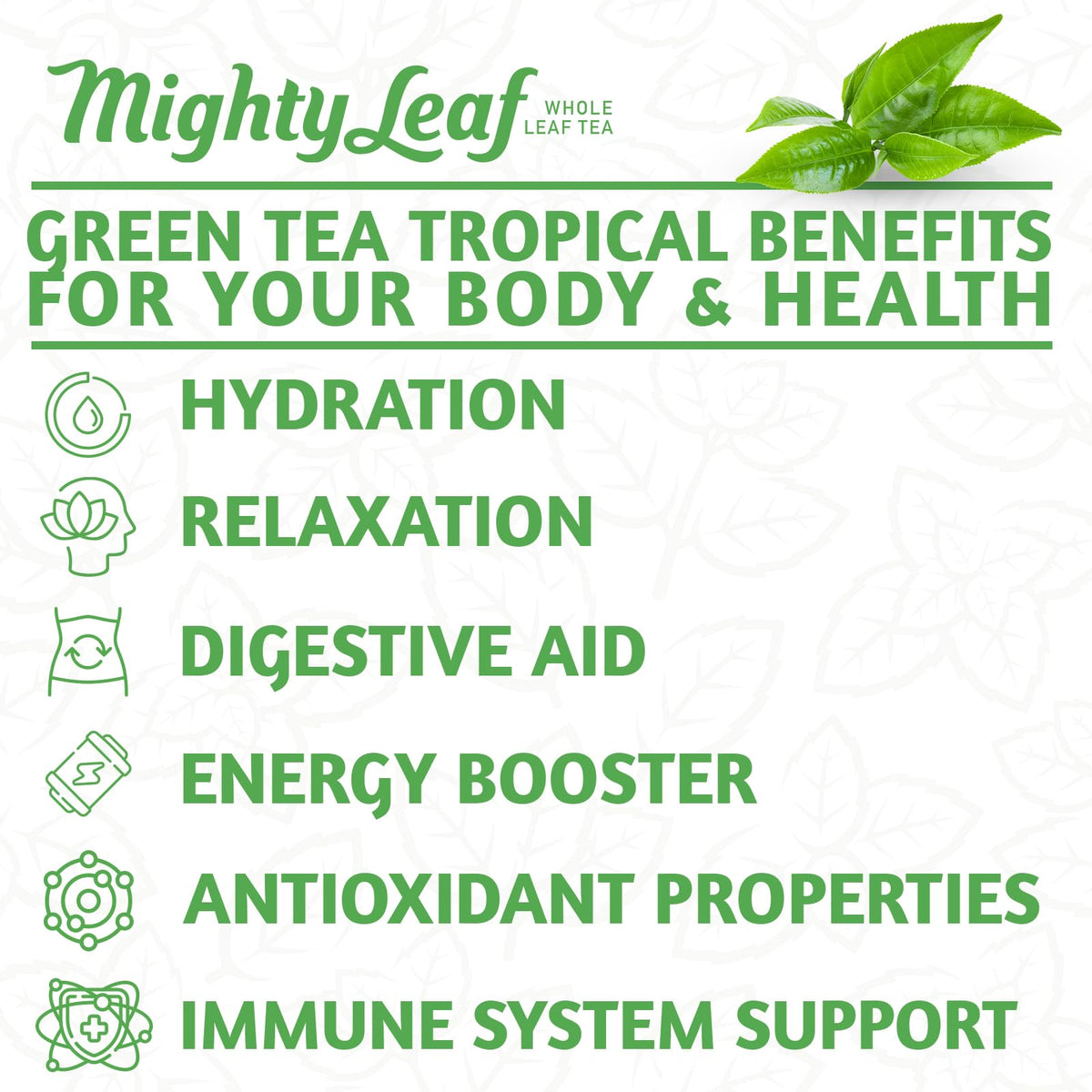 Mighty Leaf Green Tea Tropical handcrafted wellness blend for tea lovers.