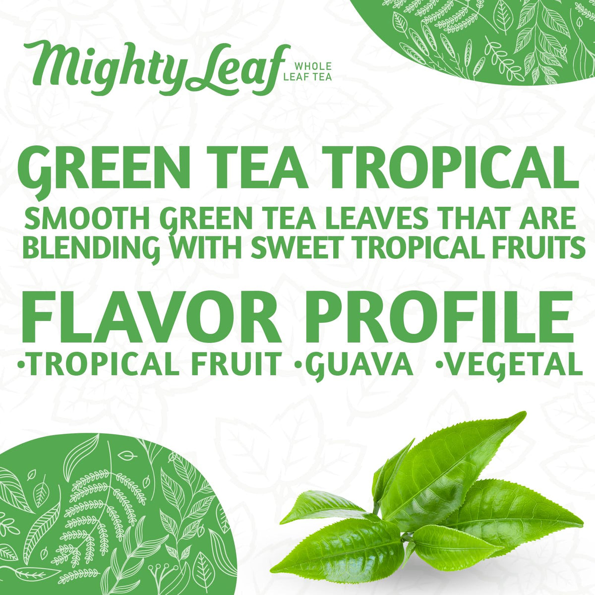 Mighty Leaf Green Tea Tropical silken pyramid bags brewing a bold cup.