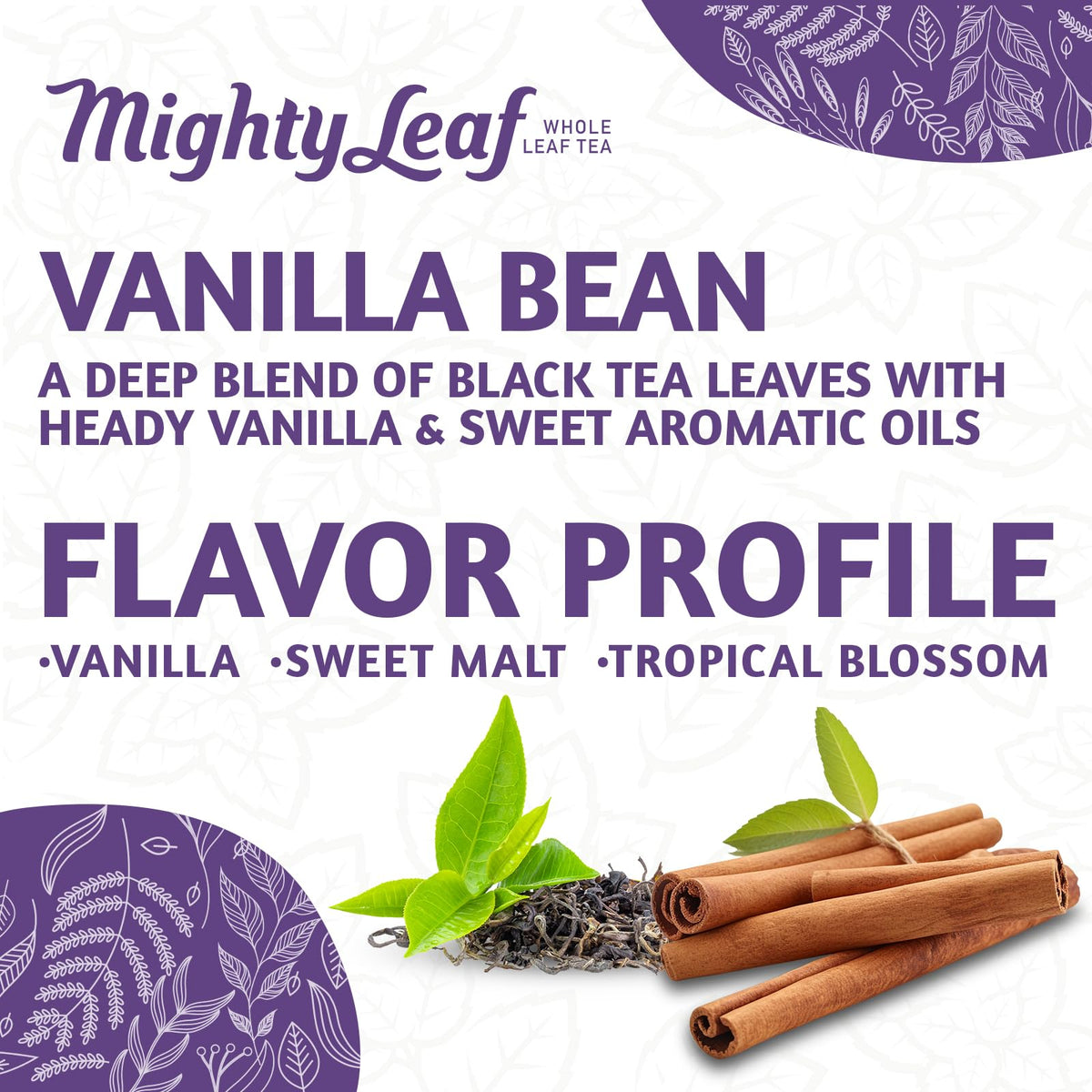 Mighty Leaf Hot or Iced Brewing suits any season and occasion.