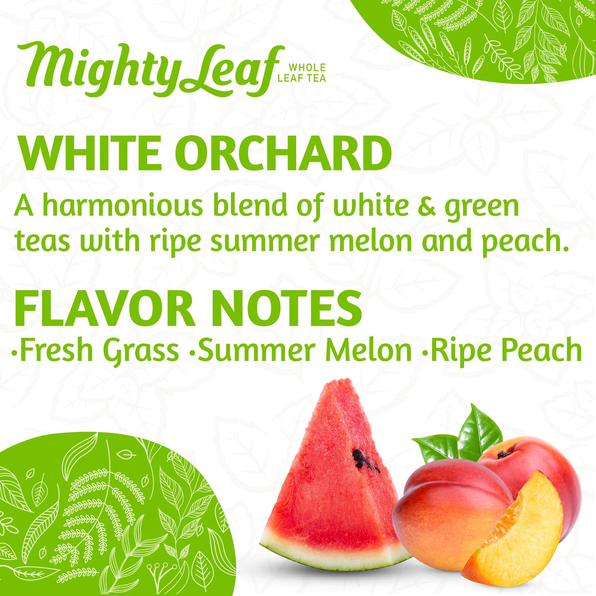 Mighty Leaf White Orchard hot brew reveals delicate notes of white tea and fruit.