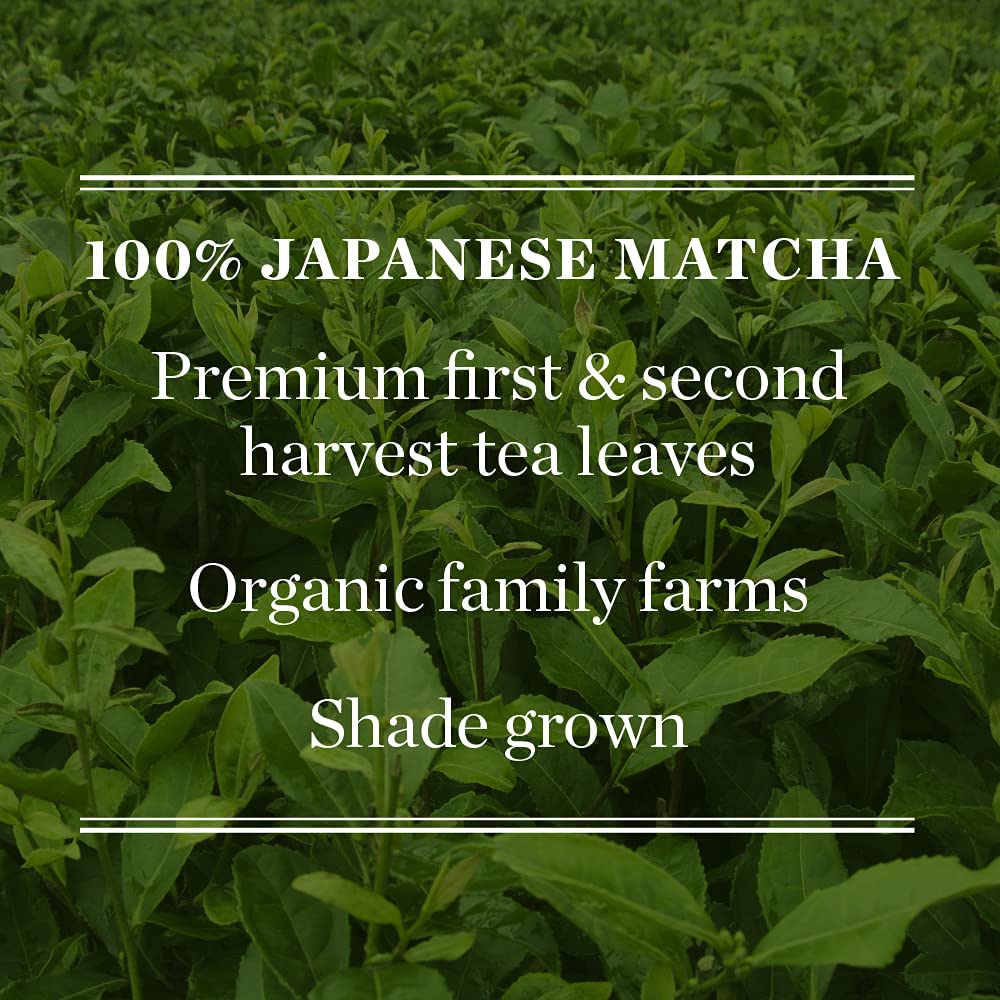 Mighty Leaf Matcha as a versatile ingredient for desserts and drinks.
