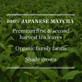 Mighty Leaf Matcha as a versatile ingredient for desserts and drinks.