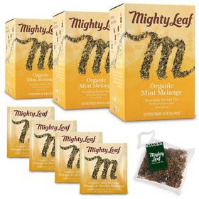 Mighty Leaf Mint Melange tea bags steep for a crisp, refreshing cup.